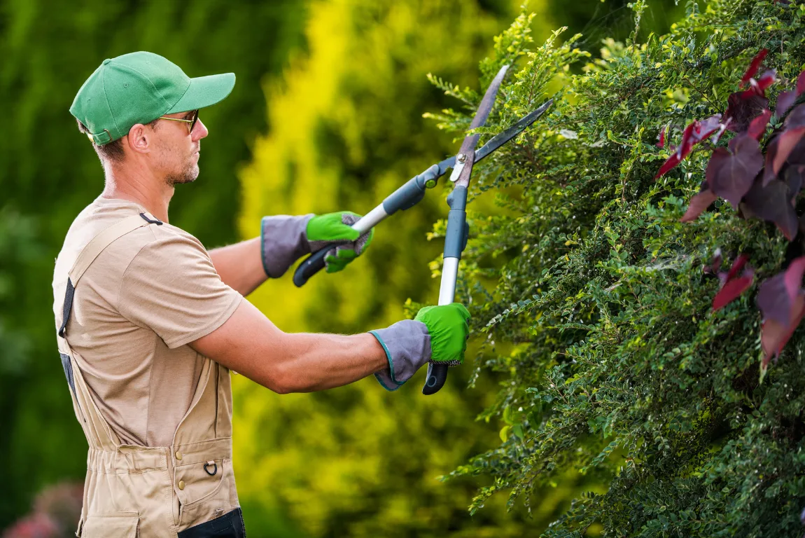 Servicio de jardinería